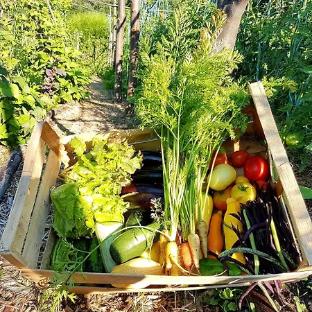 Apartament La Ferme De Chalas *